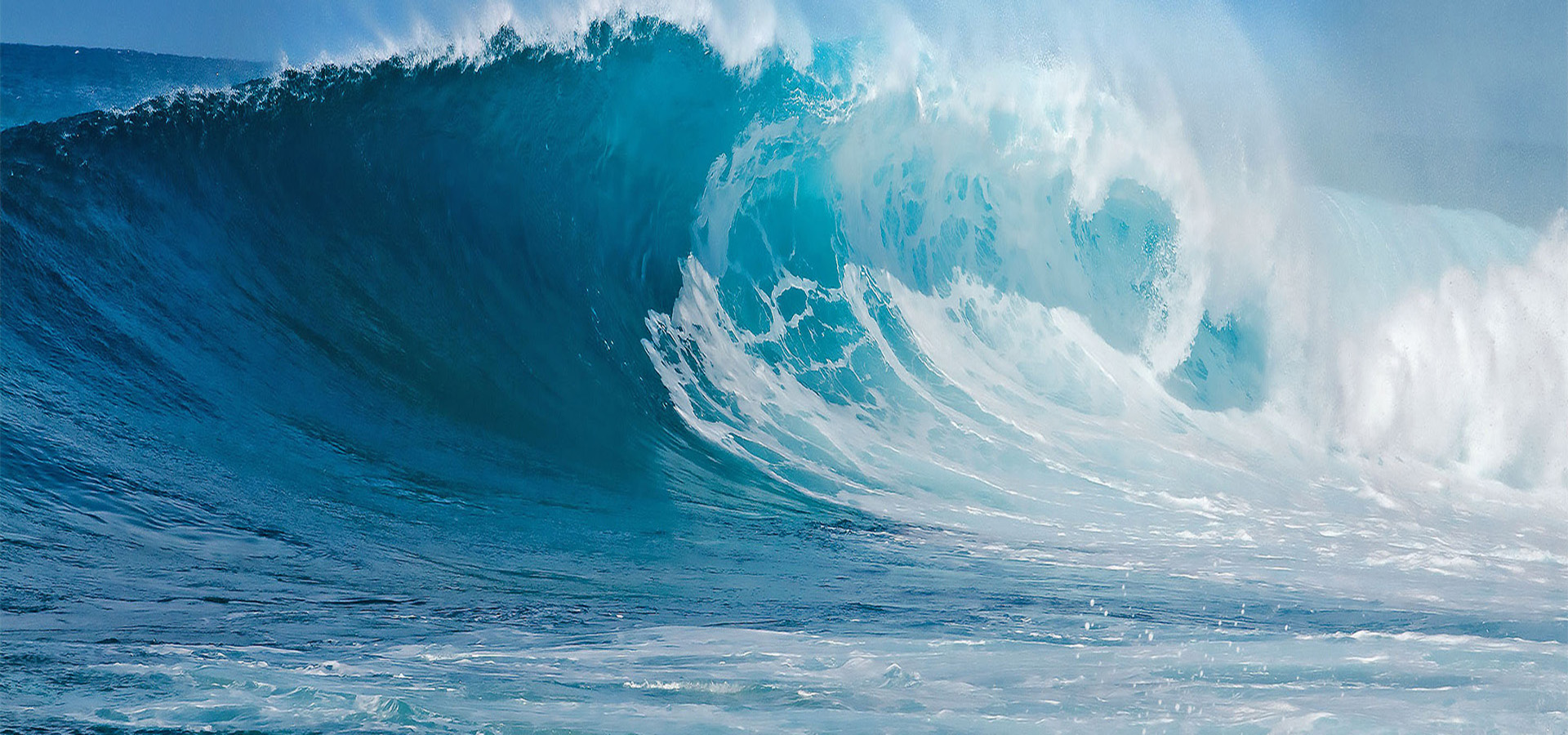 元含万象、万象鸿运国际