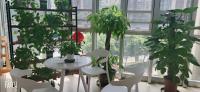 small